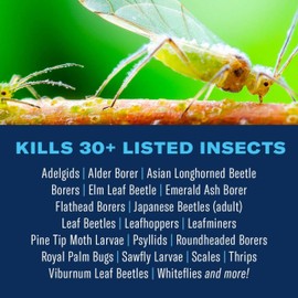 BioAdvanced 701525A 12-Month Shrub Control Insect Killer and Tree Fertilizer, 1-Gallon, Landscape Formula Concentrate