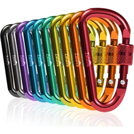 10pcs 2”D-Clip Durable Locking Carabiner Keychain Clip,Keychain Clip Hook