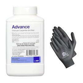 Advance Carpenter Ant Bait 8oz – Targeted Ant Control for Indoor & Outdoor Use with Disposable Nitrile Gloves