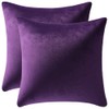 24x24 Throw Pillow Cases Purple: 2 Pack Cozy Soft Velvet