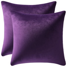 24x24 Throw Pillow Cases Purple: 2 Pack Cozy Soft Velvet Square Decorative Pillow Covers for Farmhouse Home Decor, DEZENE