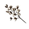 50cm Cotton Stems Decoration 12 Cotton Bolls Cotton Stalks Branch