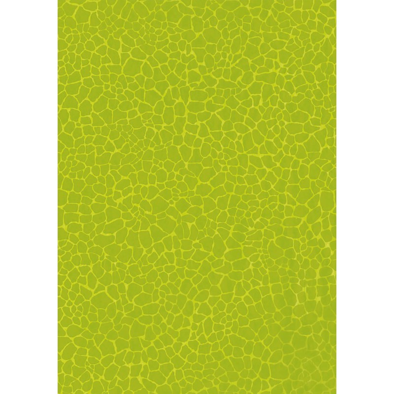 Décopatch DP047C - Mix & Patch - Royal Botanic garden