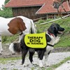 Funny Therapy Dog Jacket Vest Therapy Dog in Training Slogan