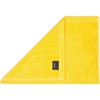 Cawö Home Hand Towels Life Style Uni 7007 Apricot 552