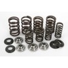 Kpmi 191-22001 Racing Valve Spring Kit