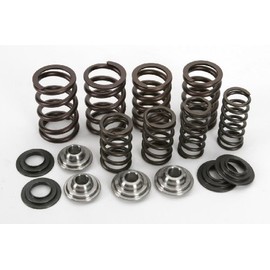 Kpmi 191-22001 Racing Valve Spring Kit