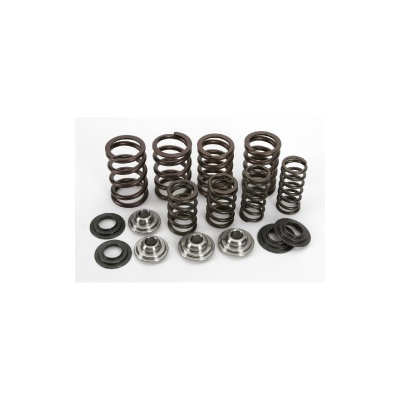 Kpmi 191-22001 Racing Valve Spring Kit