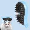 3 in 1 Cat Steam Brush, Rechargeable Pet Brush with