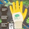 D2D | 12 Pairs - Cotton Gloves - Size: 11