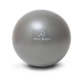 ProBody Pilates Small Exercise Ball - 9 Inch Workout Ball for Stability, Barre, Yoga, Core & Physical Therapy, Home Gym & Office Use (Silver)