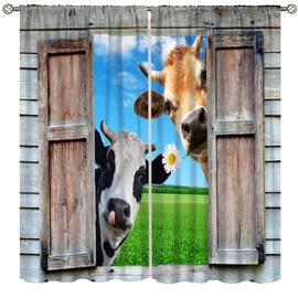 SENRUEGT Farm Funny Cow Curtains,Rustic Vintage Farm Cute Cow Wooden Barn Door Bedroom Living Room Window Curtains 42x63in