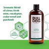 BULLDOG Mens Skincare and Grooming Body Wash, Original, 16.9 Fluid