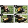Talpirid Mole Trap Mole Control Trap Heavy Duty Safe Easy