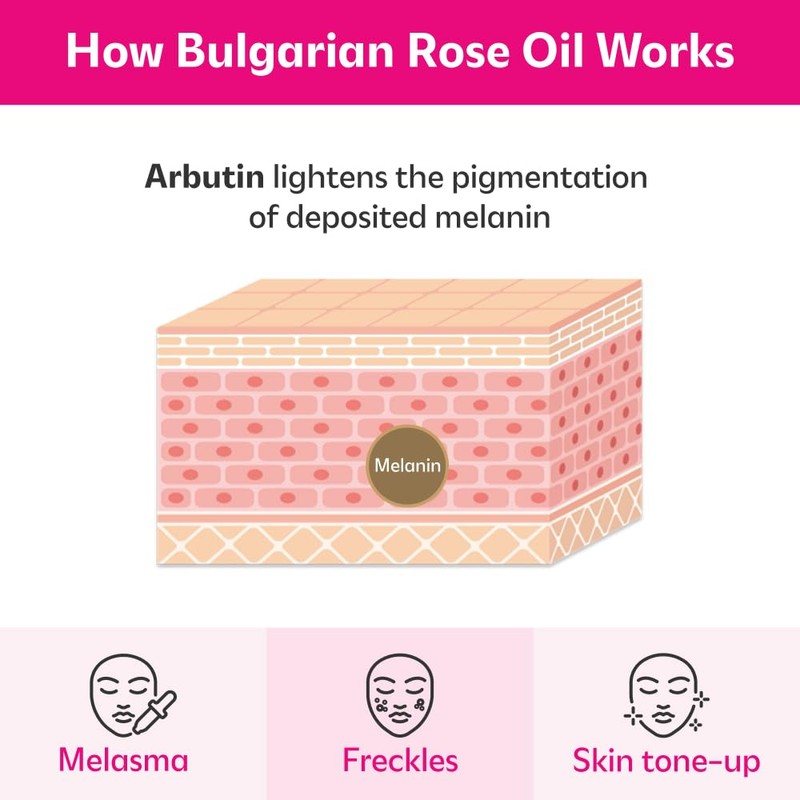 isoi Lip Treatment Balm (# pure red)