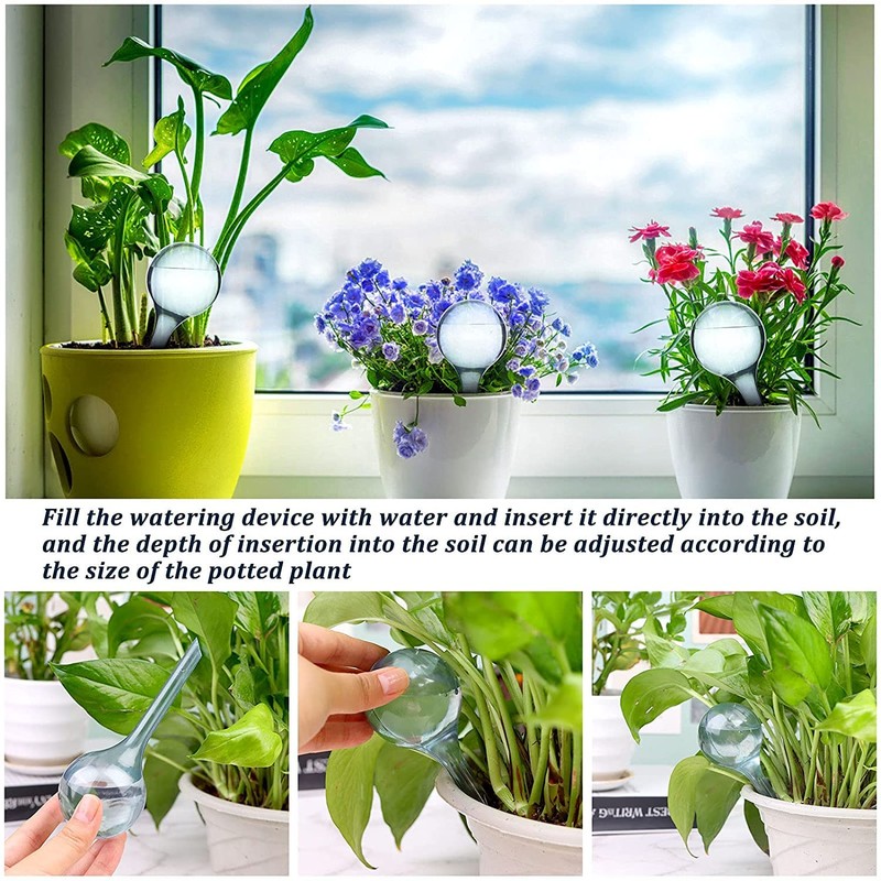 8 Pack Plant Watering Globes Automatic Watering Globes Plant Self