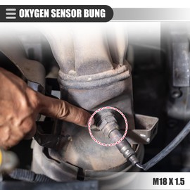 Motoforti Universal Car Sensor Plugs, Stainless Steel, Silver Tone, 1 Set