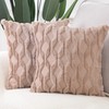 Madizz Set of 2 Soft Plush Short Wool Velvet Decorative