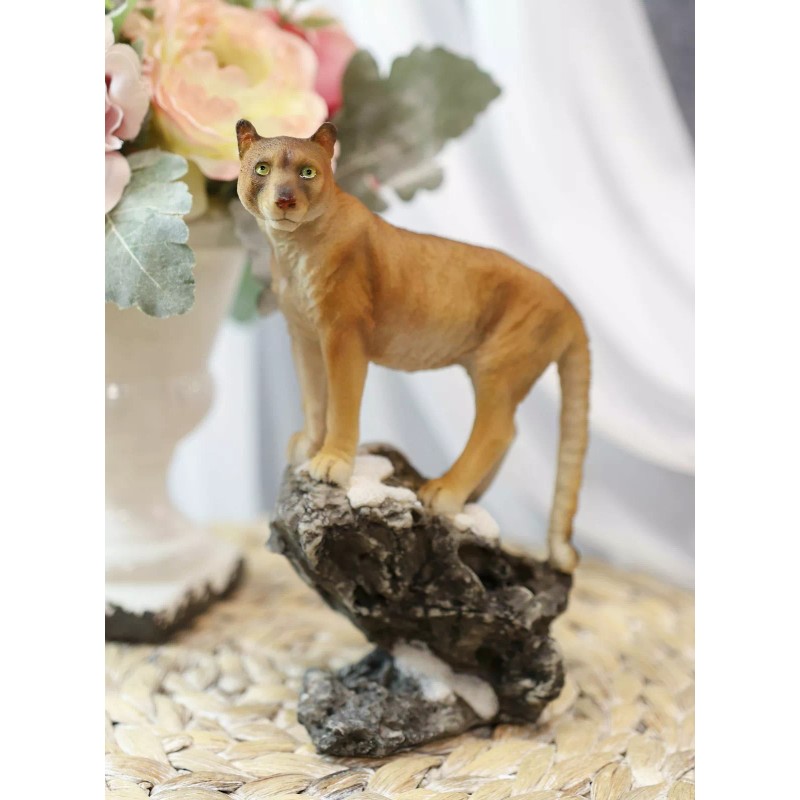 Mountain Lion Cougar Standing On Edge of Snow Capped Rock