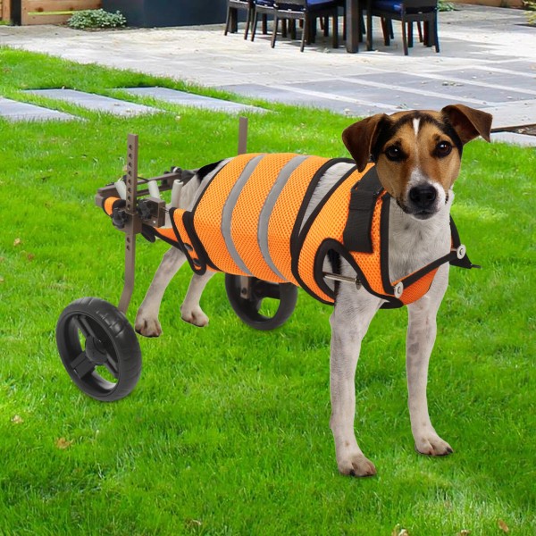 Pet Wheelchair for Back Legs, Adjustable Pet Wheelchair, Pe