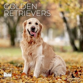 2026 Golden Retriever Wall Calendar 12 Month | 12" x 24" Open | Giftable | Dog Calendar 2026 | Thick & Sturdy Paper for Calendar Organizing & Planning | Pacific Waters Press (Golden Retriever)