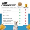 Mouse Scent Balls – 24-Pack + 1 Mouse Trap –