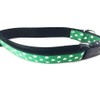Spring Dog Collar, Caninedesign, Valentine, St Patricks Day, Easter, 1