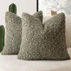 Foindtower 2 Pieces 20x20 Inch Sage Green, Faux Fur Throw