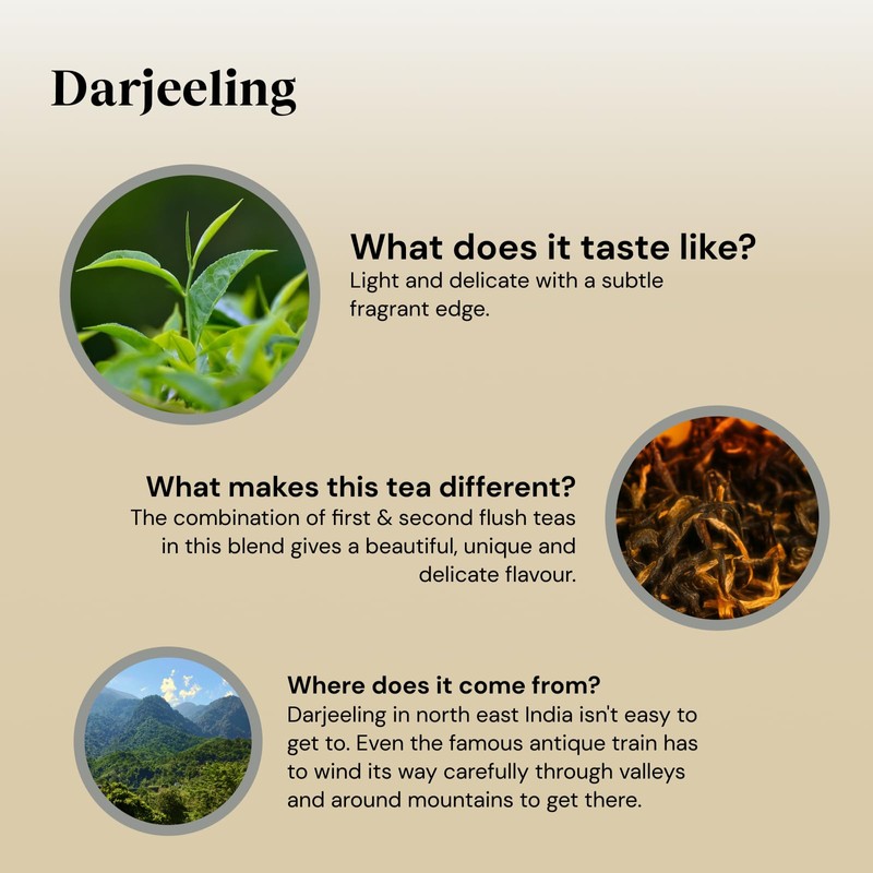 Twinings Darjeeling Tea | Light, Delicate & Intriguing Black Tea