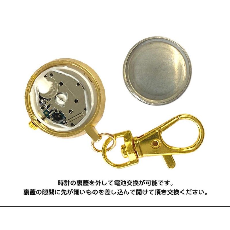 GoodsLand GD-NASUWT-02-GD Nurse Watch, Carabiner Type, Upside Down Dial, Clock,