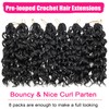 Gogo Curl Crochet Hair 8 Packs Ocean Wave Crochet Hair
