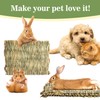 Sukh 3 PCS Rabbit Grass Mats - Hay Woven Bunny