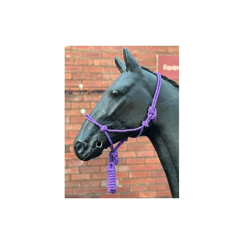 Hi-Viz Reflective Rope Headcollar with Lead Rope Se Fully Adjustable