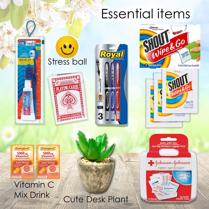 The Ultimate COLLEGE Student or Military Care package gift basket