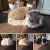 GeKLok Simulation Sleeping Cat Toy, Lifelike Sleeping Cat, Realistic Sleeping