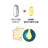 Chong Kun Dang Health Promega Altige Omega3 Dual 520mg x