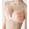 Nice Buddy Bra, Fill Each Cup With the Bust to