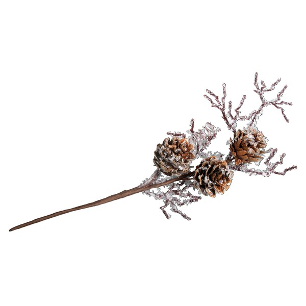 Rayher 55915000 Larch Cone, 26 cm, Natural, Normal