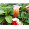 The Thika 3” Small Reusable Coffee/Tea Filter Traditional Thai style
