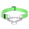 haoyueer Martingale Dog Collar with Stainless Steel Chain and Leash