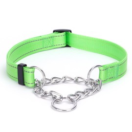 haoyueer Martingale Dog Collar with Stainless Steel Chain and Leash Set, Martingale Collar with Reflective, 5FT Double Handle Dog Leash Padded, Adjustable for Medium Large Dogs (Green Collar, S)