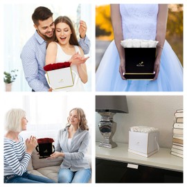 Rosenlieb Rose Box with Infinity Rroses (3 Year Shelf Life), Real Preserved Flowers with Greeting Card (Square Gold)