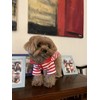 Cute Dog Clothes Striped Dog Polo Shirts Cute Sweater Puppy