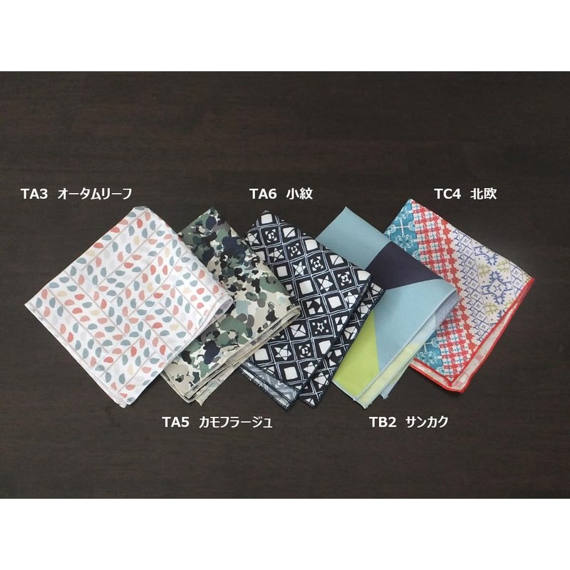Toray (TORAY) Tracy Cleaning Cloth, 9.45 x 9.45 inches (24