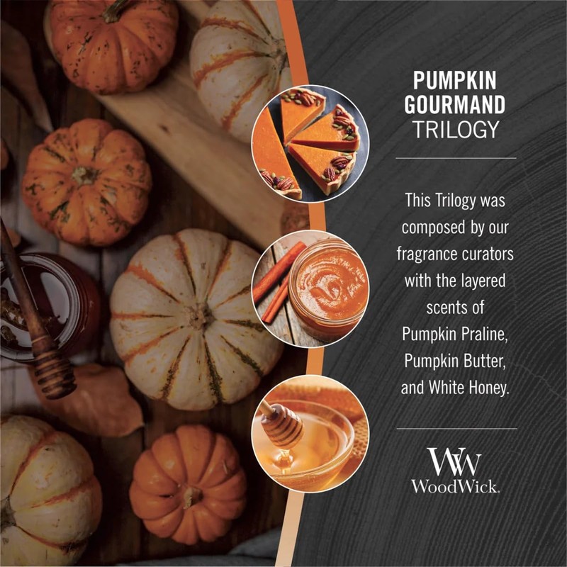 WoodWick Ellipse Trilogy Candle, Pumpkin Gourmand, 16 oz.