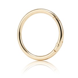 DEVPSISR 15pcs Trigger Spring O Rings Round,Metal Keychain Ring Round Carabiner Clips for Keyrings Buckle, Bags,Purses (Gold, 1 inch)(Gold,1 inch)