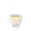 Tried & True Orchard Cider Ceramic Apple Candle, White