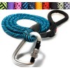 Locking Carabiner Rope Dog Leash for All Breeds | Reflective