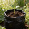 Genérico Bolsas de Cultivo para Plantas, 25 x 25 cm,