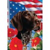 German Shorthair Pointer - Best of Breed All-American Patriotic I